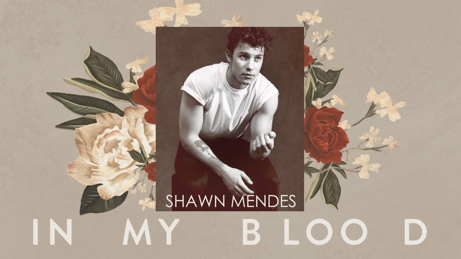 Shawn Mendes biography and his top 10 songs The Digital Biography